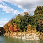 秩父路長瀞　岩畳の紅葉